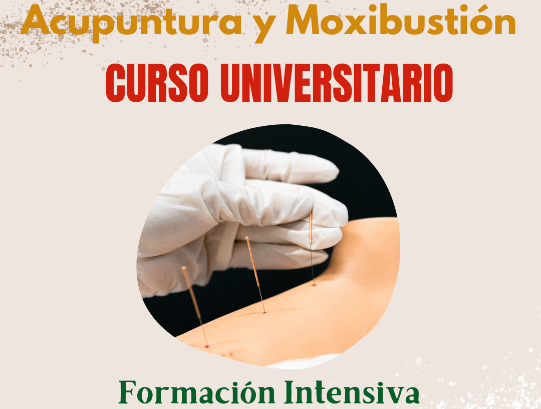 Formación en Cuatro Sedes: Vigo, Pontevedra, A Coruña y Santiago de Compostela